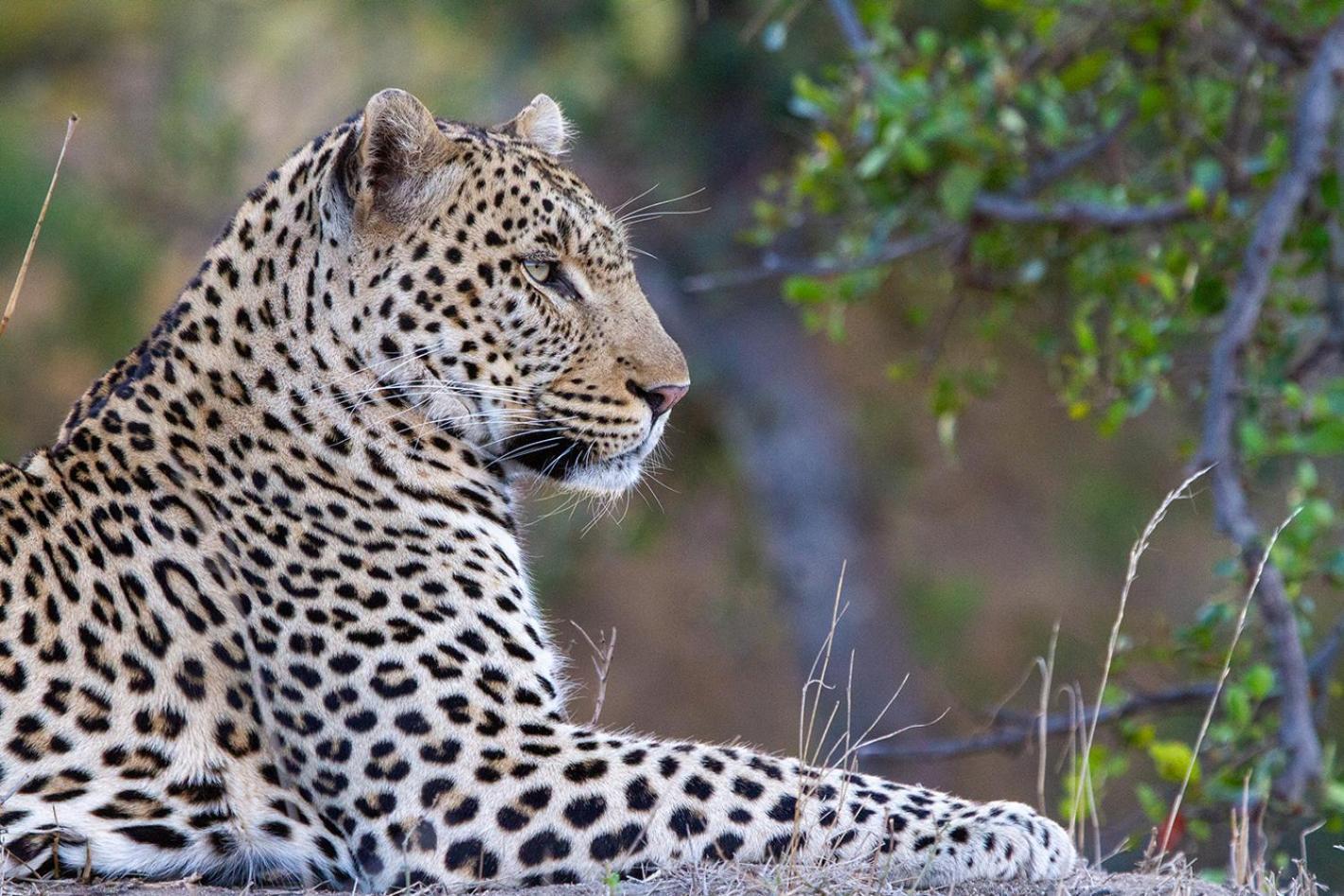 Tomo Safari Lodge フッドスプルイト エクステリア 写真
