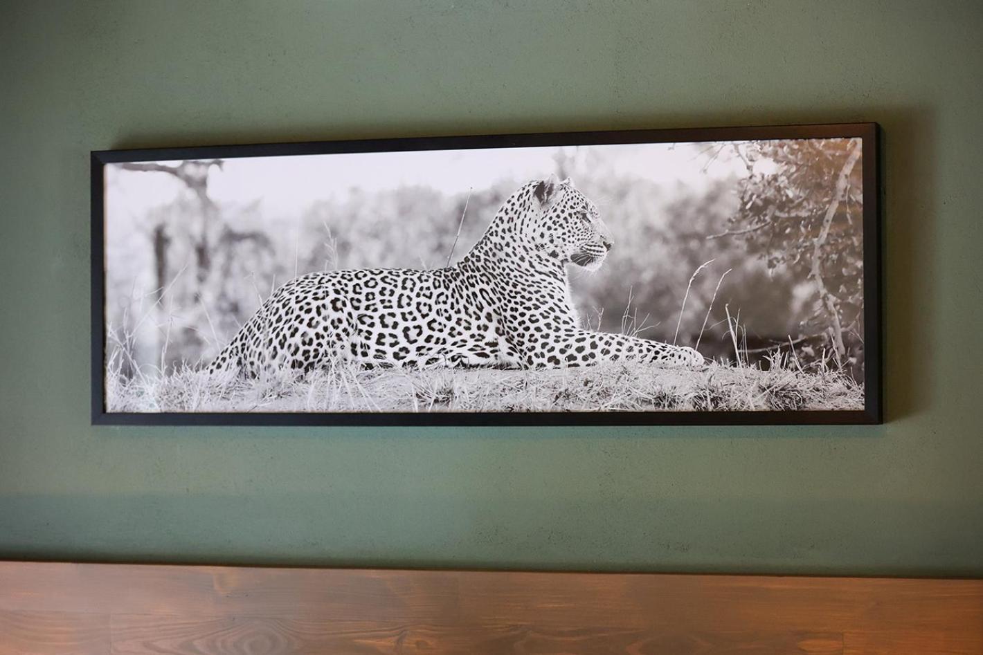 Tomo Safari Lodge フッドスプルイト 部屋 写真