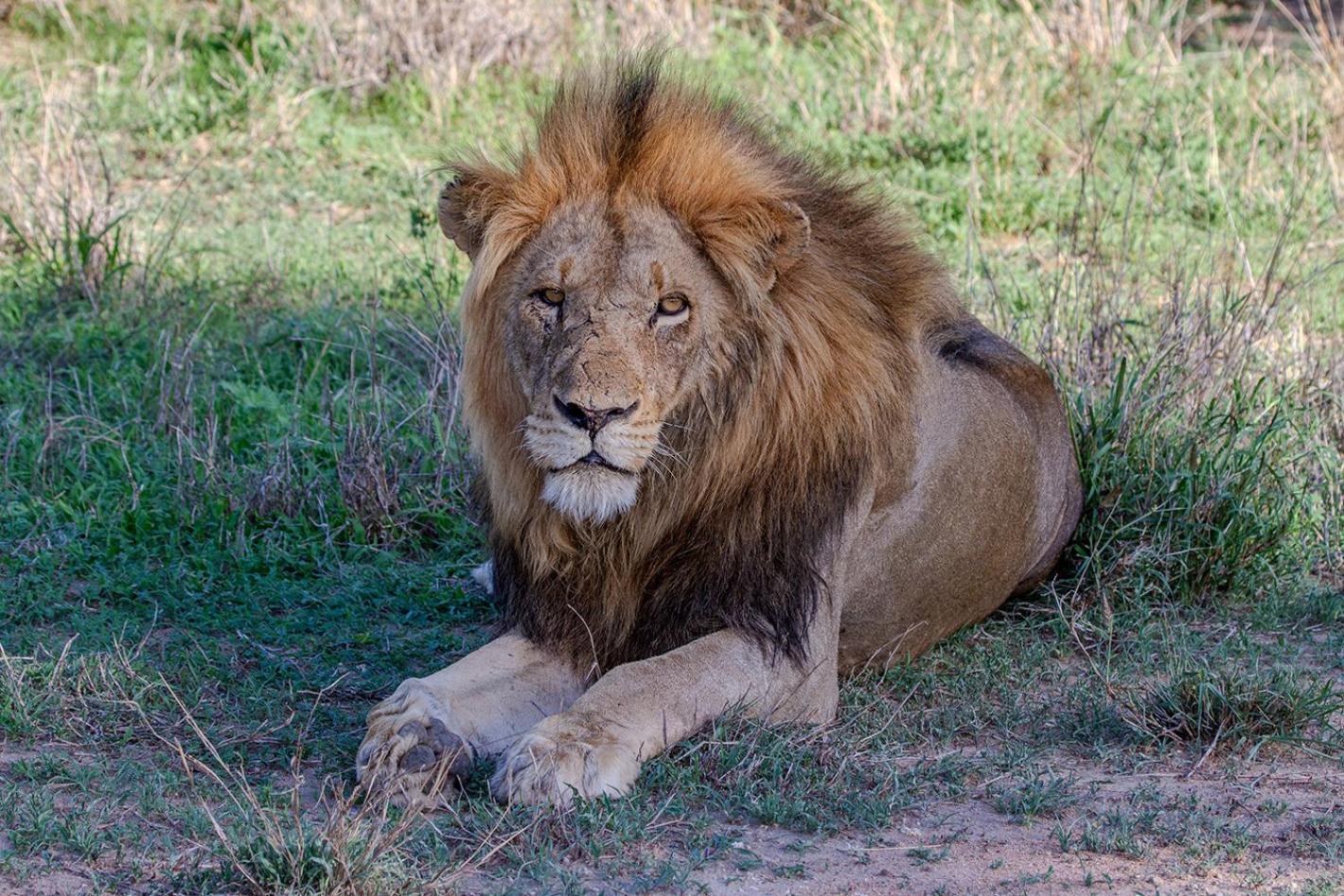 Tomo Safari Lodge フッドスプルイト エクステリア 写真
