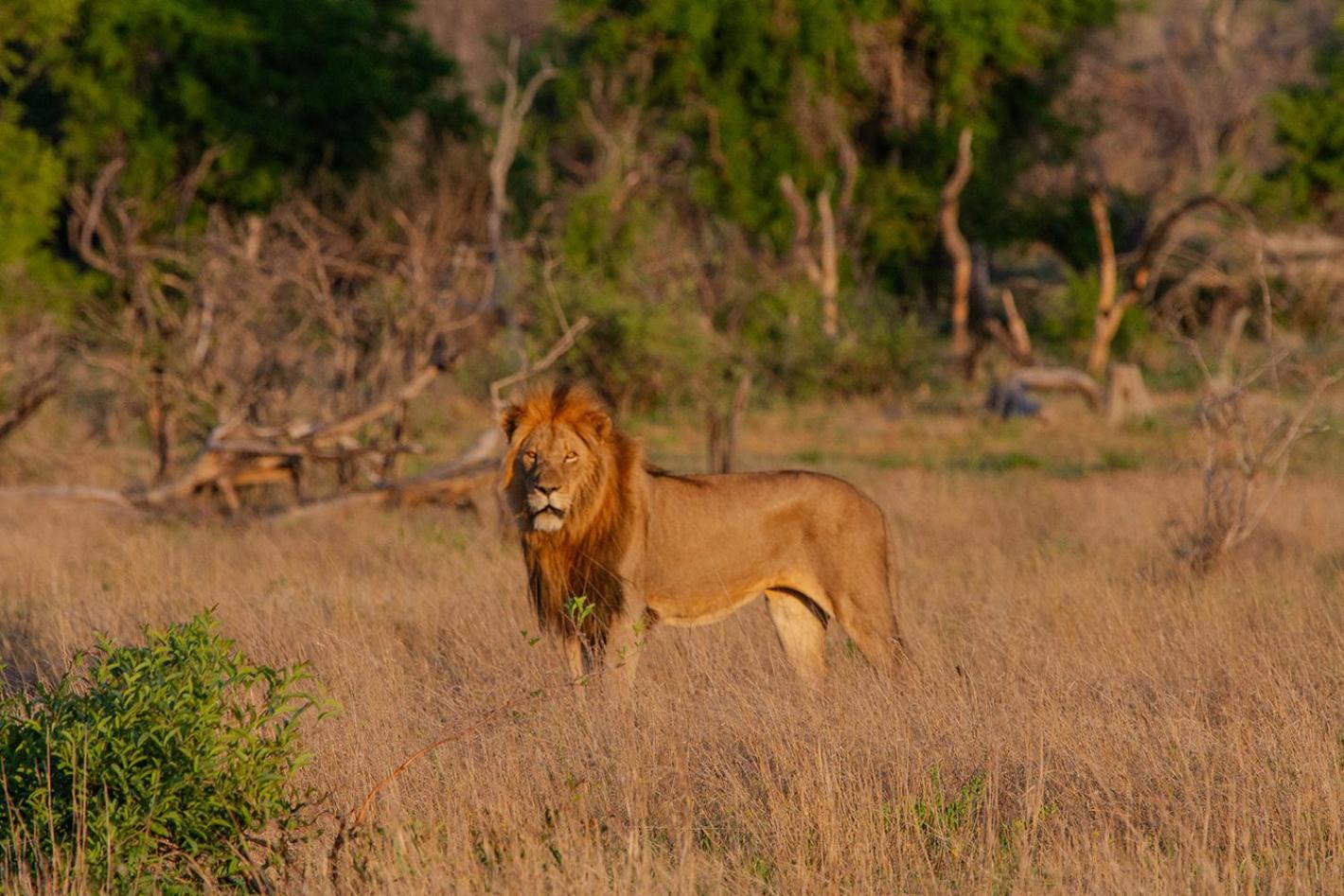 Tomo Safari Lodge フッドスプルイト エクステリア 写真